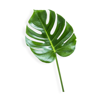 Decorative leaf